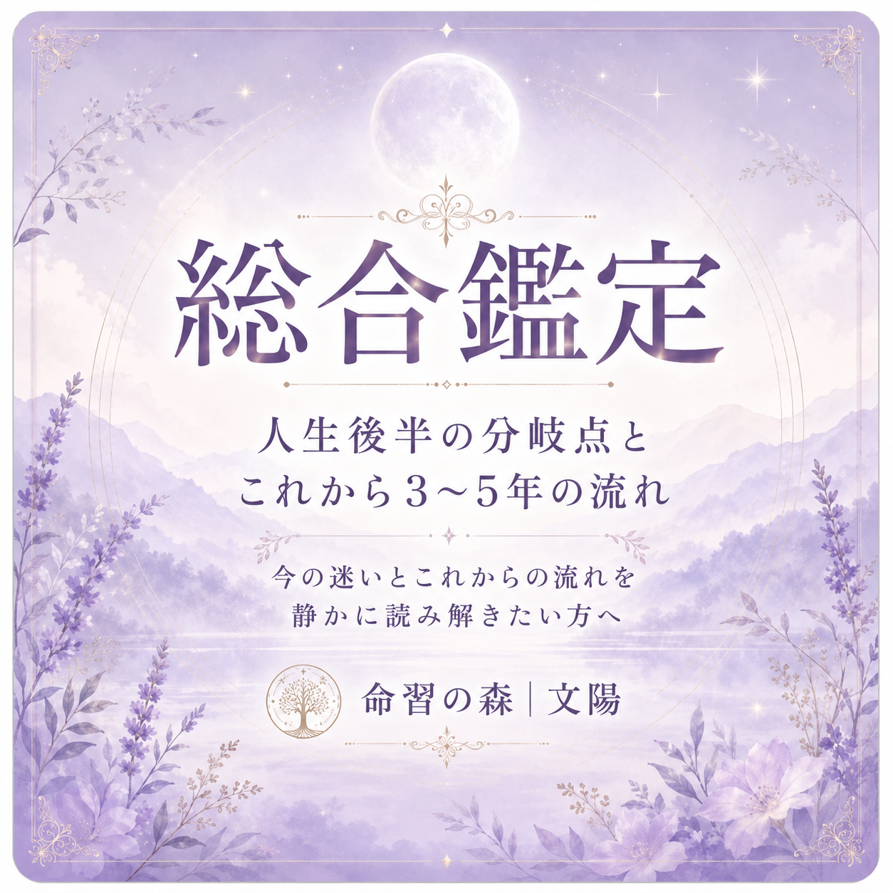 インド占星術 総合鑑定｜人生後半の分岐点